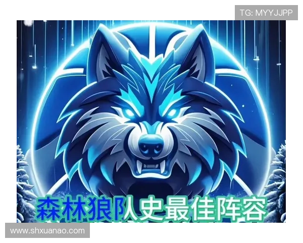 明尼苏达森林狼俱乐部发展历程与未来战略探索分析 明尼苏达森林狼俱乐部发展历程与未来战略探索分析
