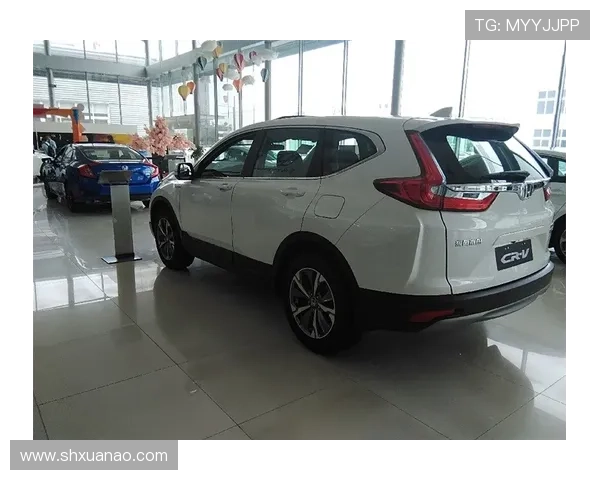 网球赛季新动态 世界顶级选手争夺年终冠军宝座 网球赛季新动态 世界顶级选手争夺年终冠军宝座